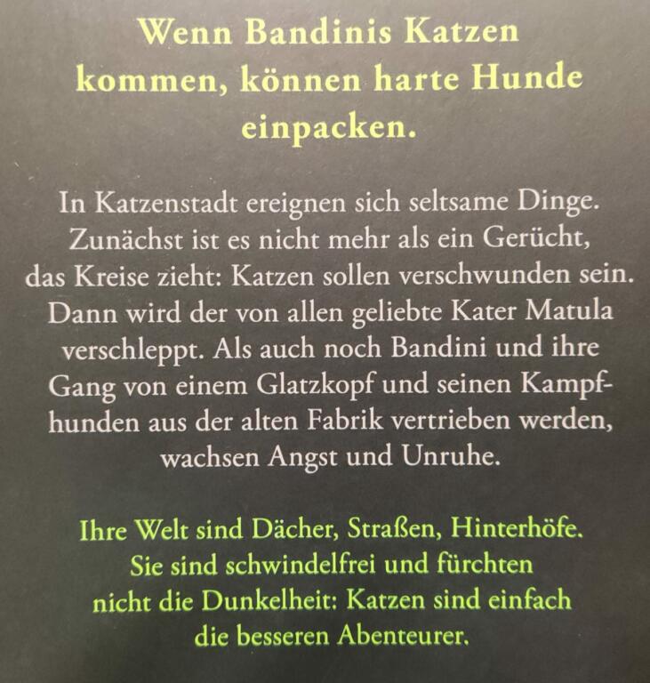 Gangs of Katzenstadt, Bad Katzting, Katzenstadt, Cat, Buch, Turmgeschichten,